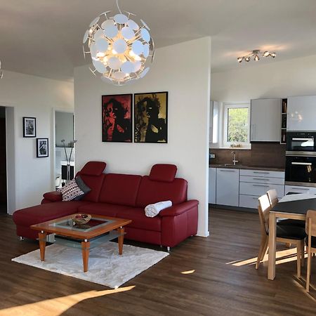 A&N Prestige Apartments "Attika" Close To Basel And Rhine River Гренцах-Вилен Экстерьер фото